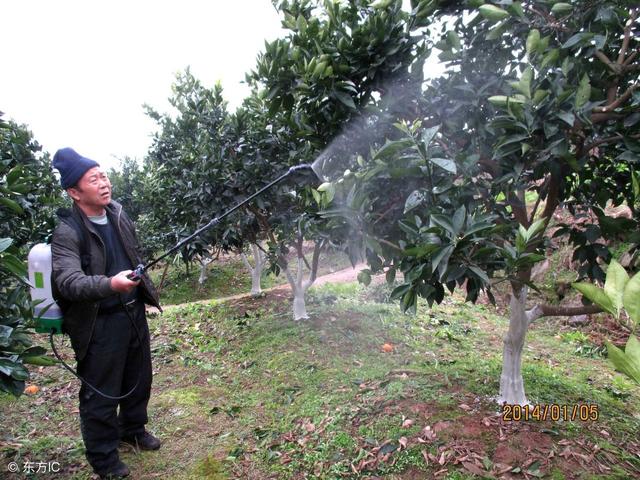 果树病害防治方法很多，别只想着用农药，还有这些方法需要掌握